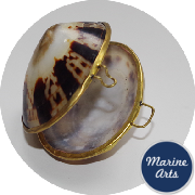 8319 - Polished Shell Purse - Limpet